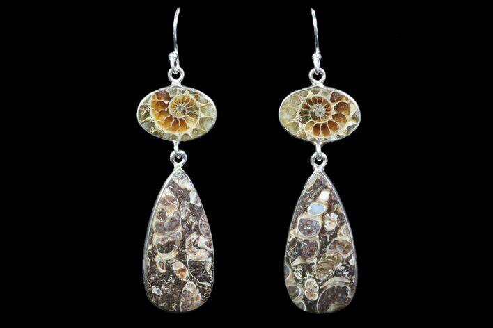 Fossil Turritella & Ammonite Earrings - Sterling Silver #82266